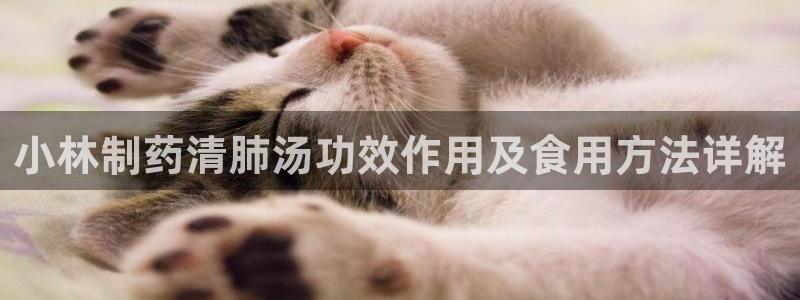 九游老哥俱乐部官网登录