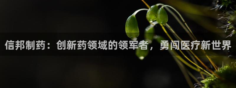 九游会老哥必备的交流社区九
