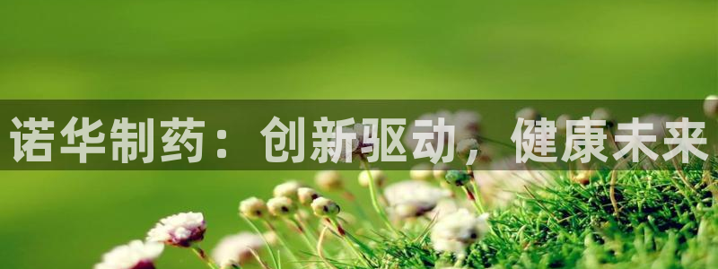 九游会老哥俱乐部