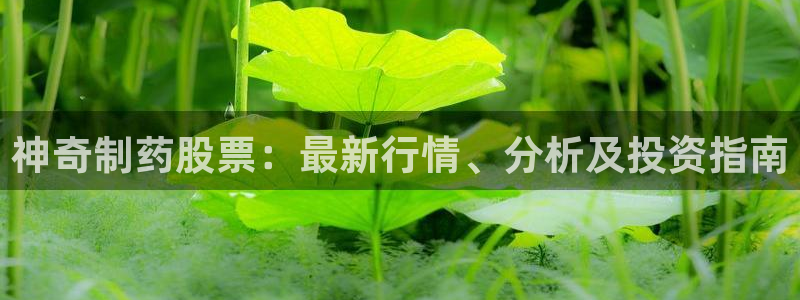 九游老哥俱乐部官网登录不了