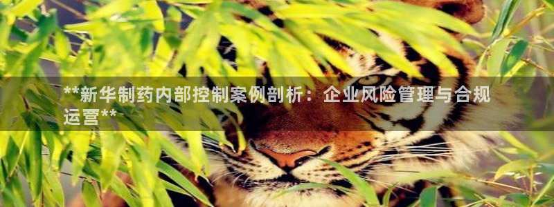 九游老哥俱乐部官网登录不了