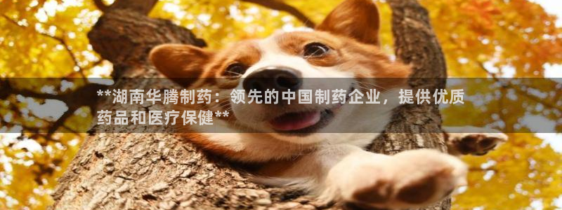 九游会老哥俱乐部官网