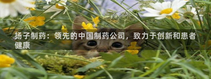 ag九游会老哥