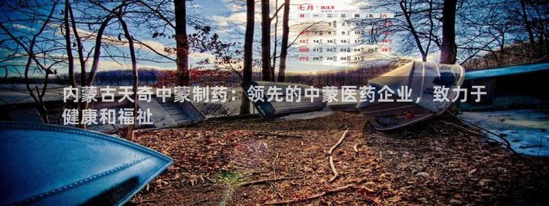九游会老哥必备的交流社区九