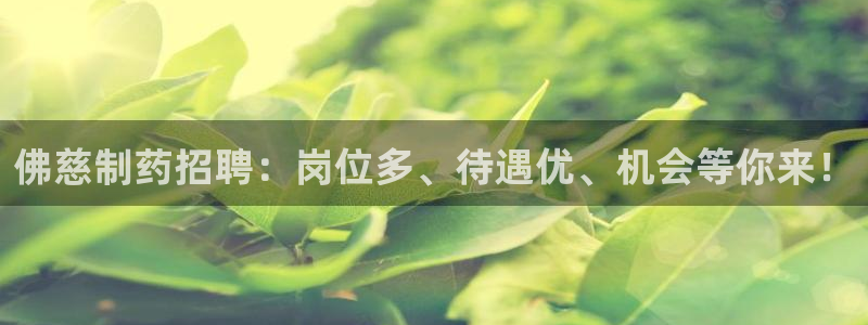 老哥吧九游会