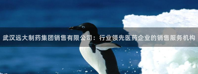 9游会老哥俱乐部：武汉远大制药集团销售有限公司：行业领先医药企业的销售服务机构