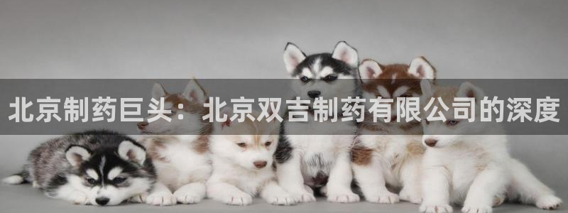 ag九游老哥俱乐部：北京制药巨头：北京双吉制药有限公司的深度