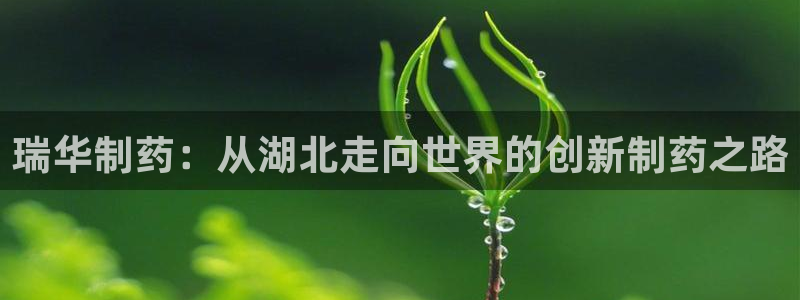 老哥吧九游会下架吗：瑞华制药：从湖北走向世界的创新制药之路
