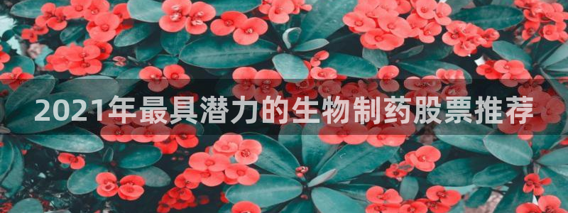 九游会老哥俱乐部官网首页论坛：2021年最具潜力的生物制药股票推荐