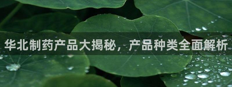 九游会老哥俱乐部社区论坛：华北制药产品大揭秘，产品种类全面解析