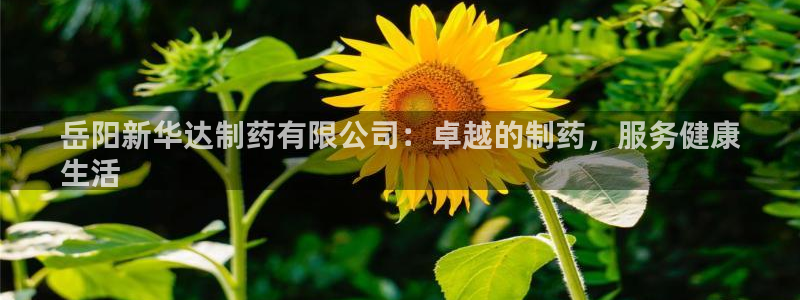 九游老哥俱乐部官网登录入口：岳阳新华达制药有限公司：卓越的制药，服务健康
生活