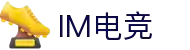 IM(股份有限公司)电竞-电子竞技平台